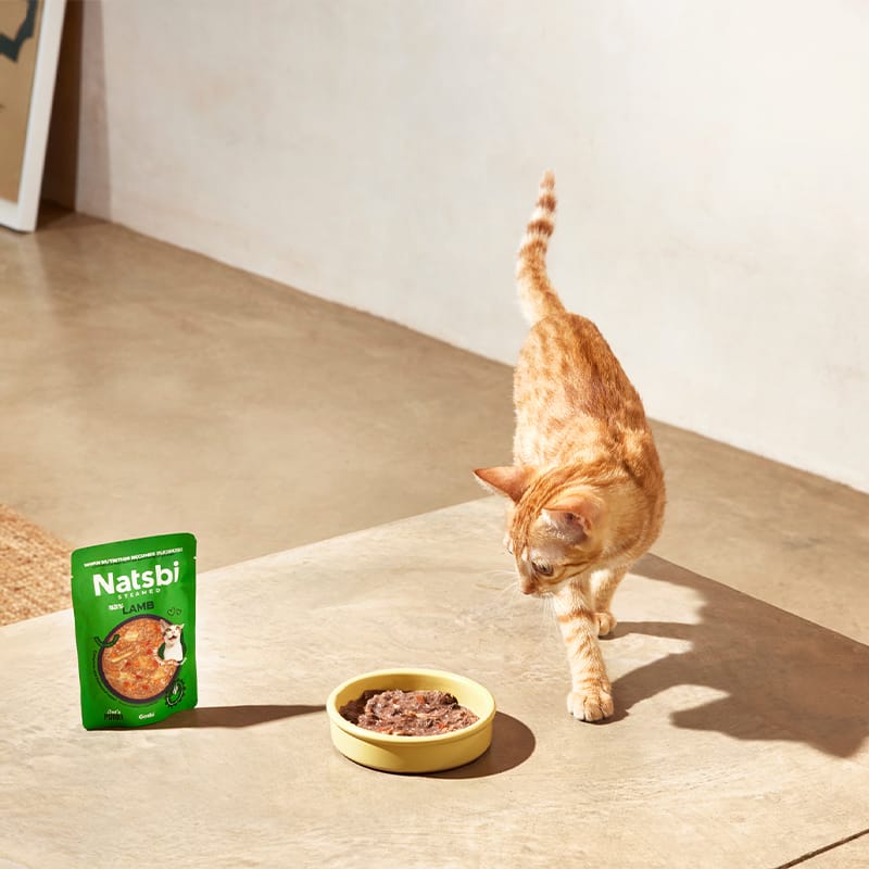 Natsbi Steamed Gravy Cat Lamb | Comida al vapor de cordero para gatos 80g
