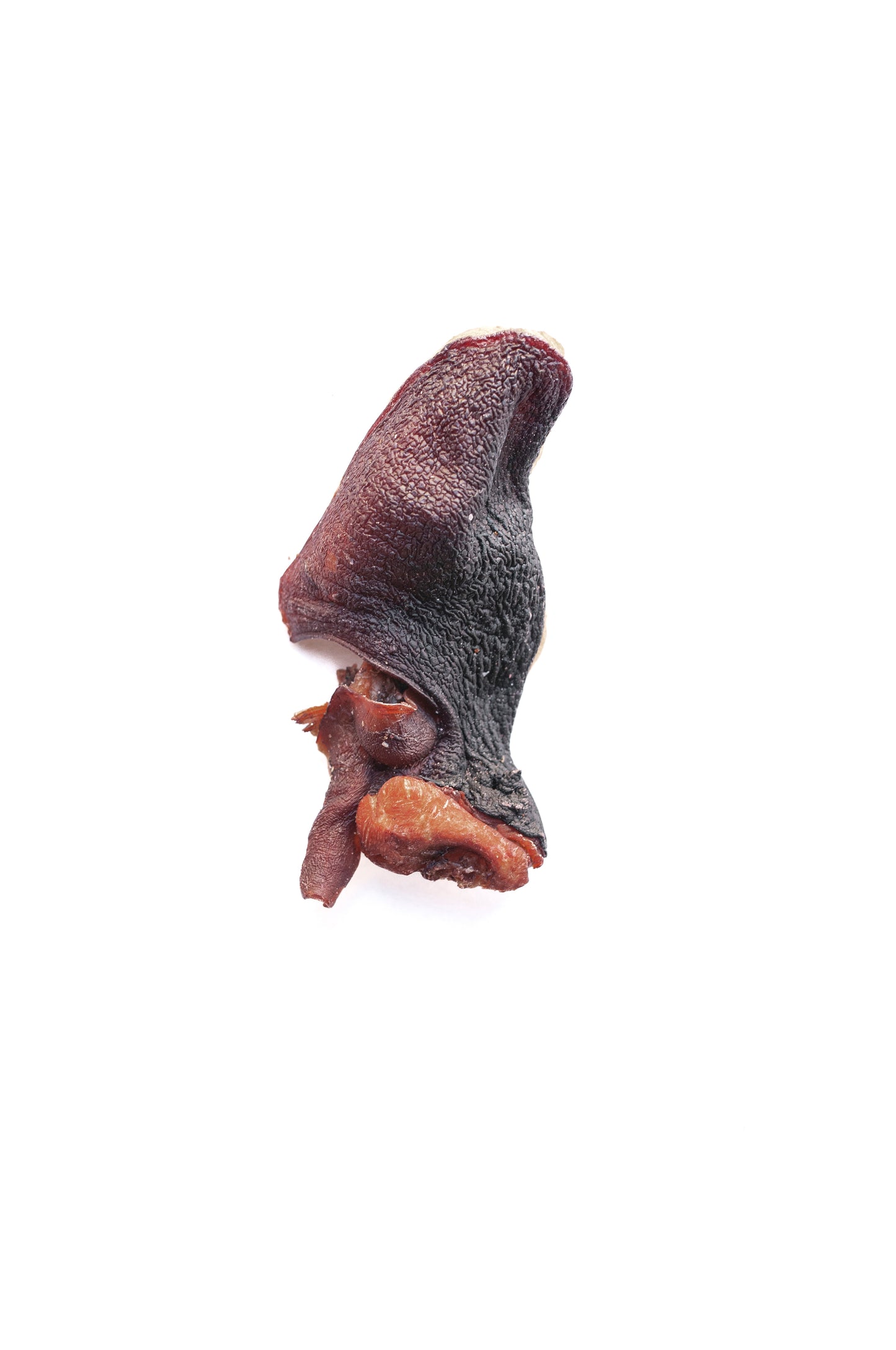 Cabezas de Pulpo deshidratadas