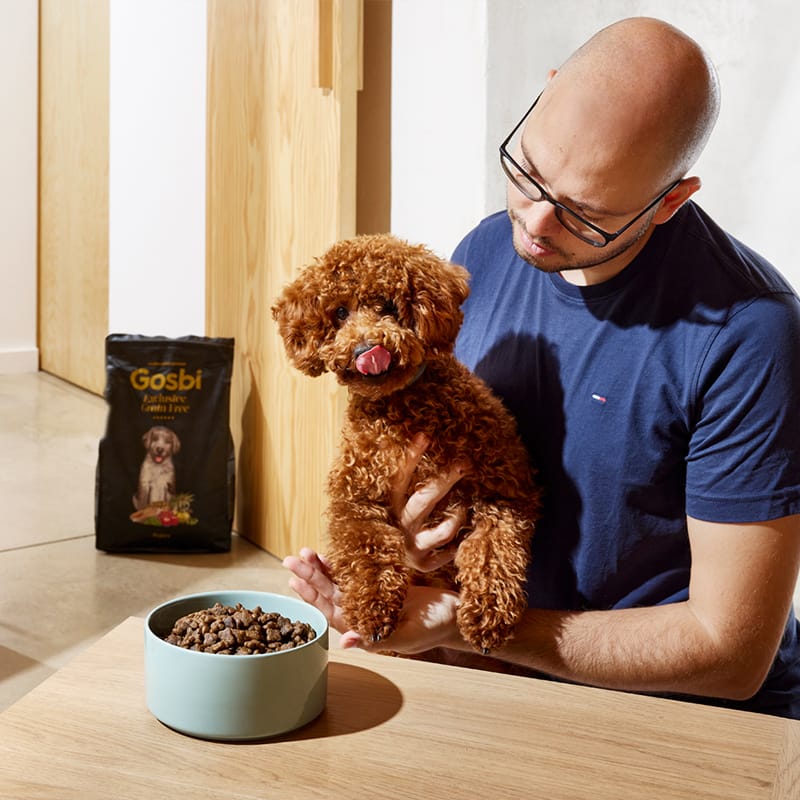 Gosbi | Exclusive Grain Free Dog Puppy Medium Fish with Lamb