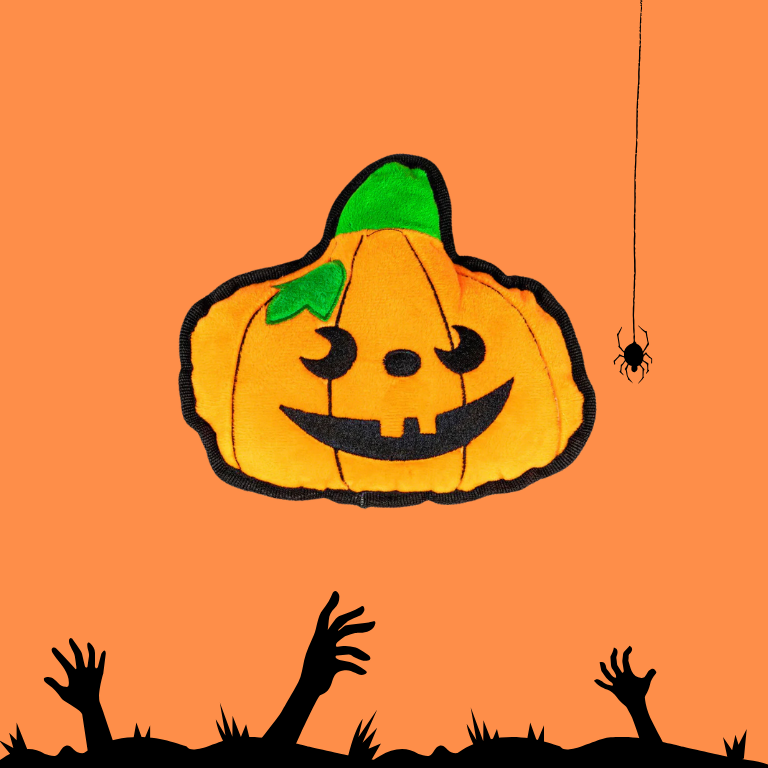 Peluche calabaza Halloween para perros