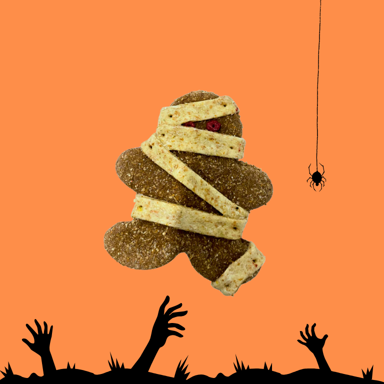 Múmia Zombie - biscoito para cão HALLOWEEN - WANIYANPI