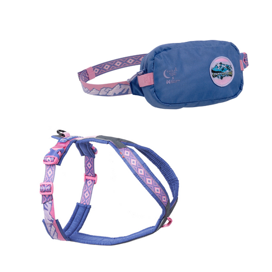 Pochete Rachel Pohl e peitoral a condizer (-10% de desconto) - Non Stop Dogwear