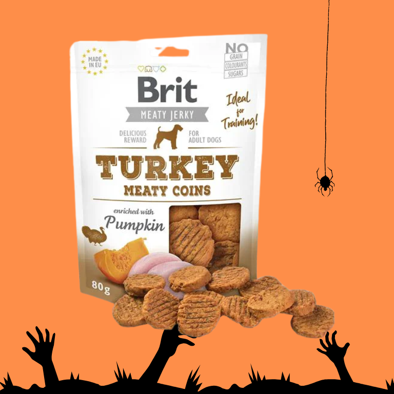 Moedas de Bruxa 🎃🦃
