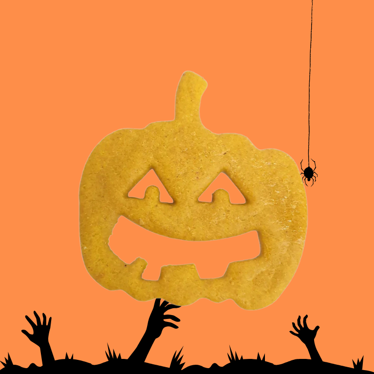 Abóbora - biscoito de HALLOWEEN para cão - WANIYANPI