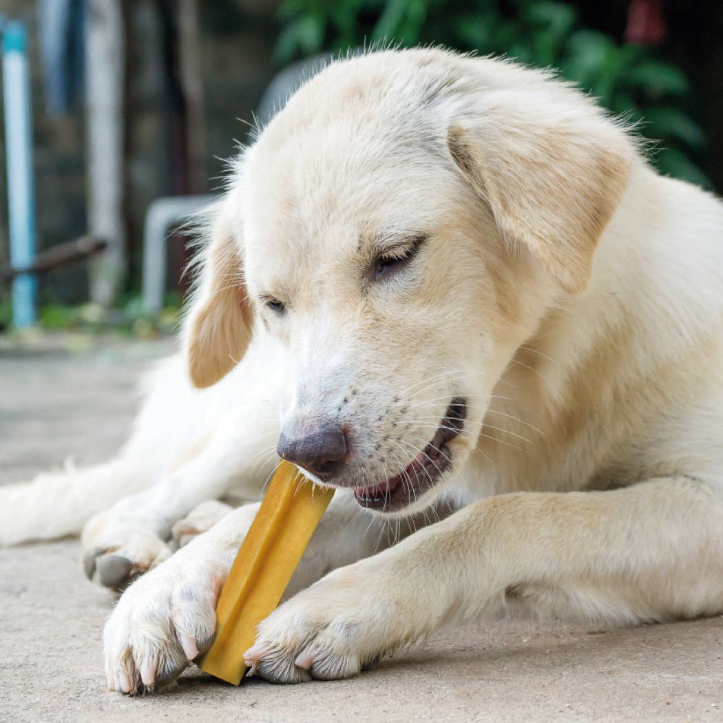 BARRA DE CÚRCUMA M CHURPI yak Snack/golosina para perros