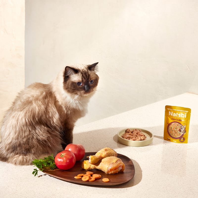 Natsbi Steamed Gravy Cat Chicken | Comida al vapor de pollo para gatos 80g