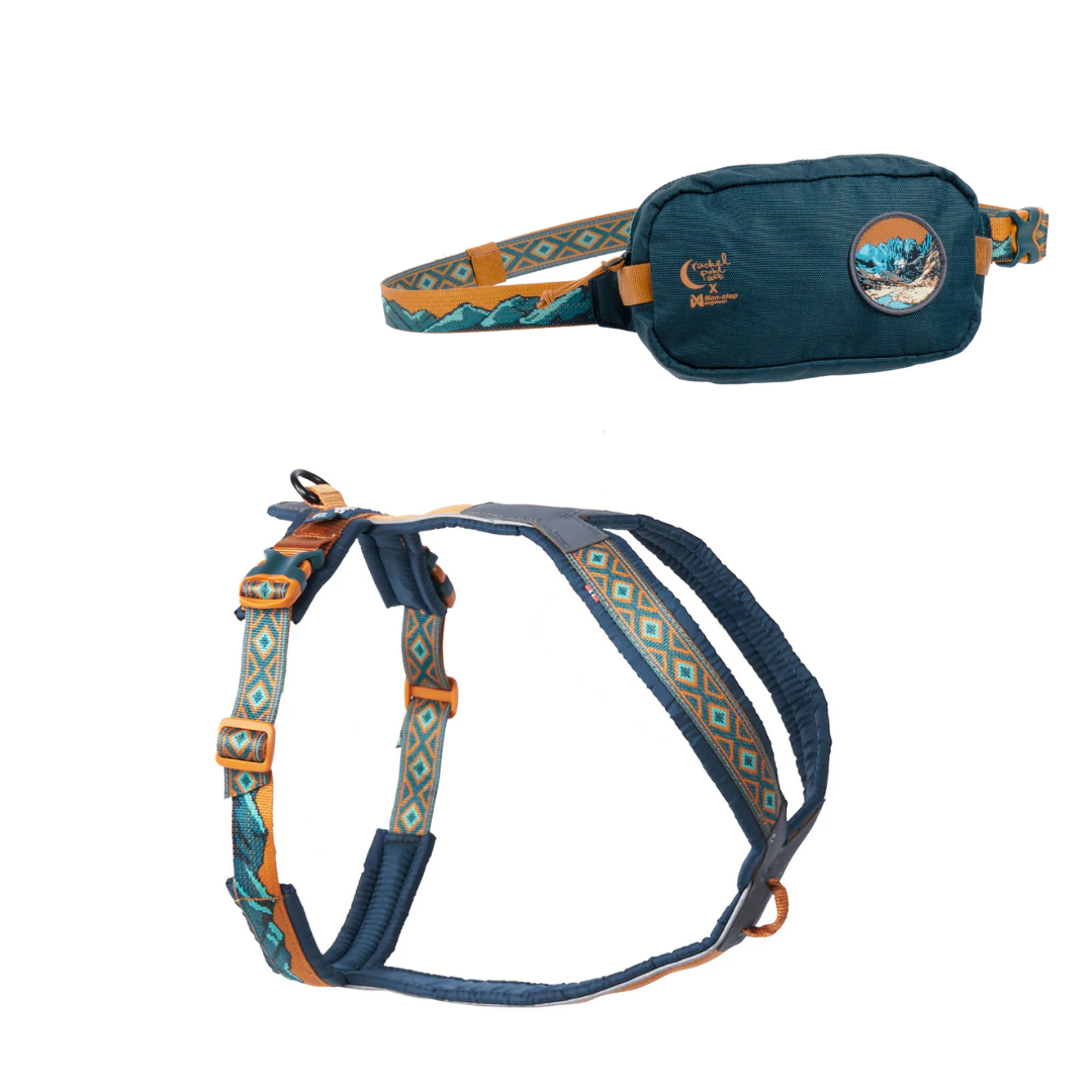 Pochete Rachel Pohl e peitoral a condizer (-10% de desconto) - Non Stop Dogwear