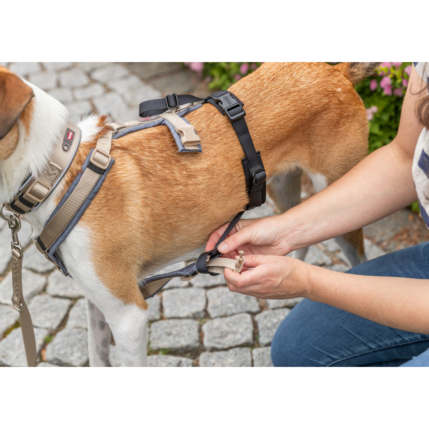 Adaptador - Transforma quase qualquer arnês num arnês à prova de fugas - Trixie (especial para cães fugitivos)