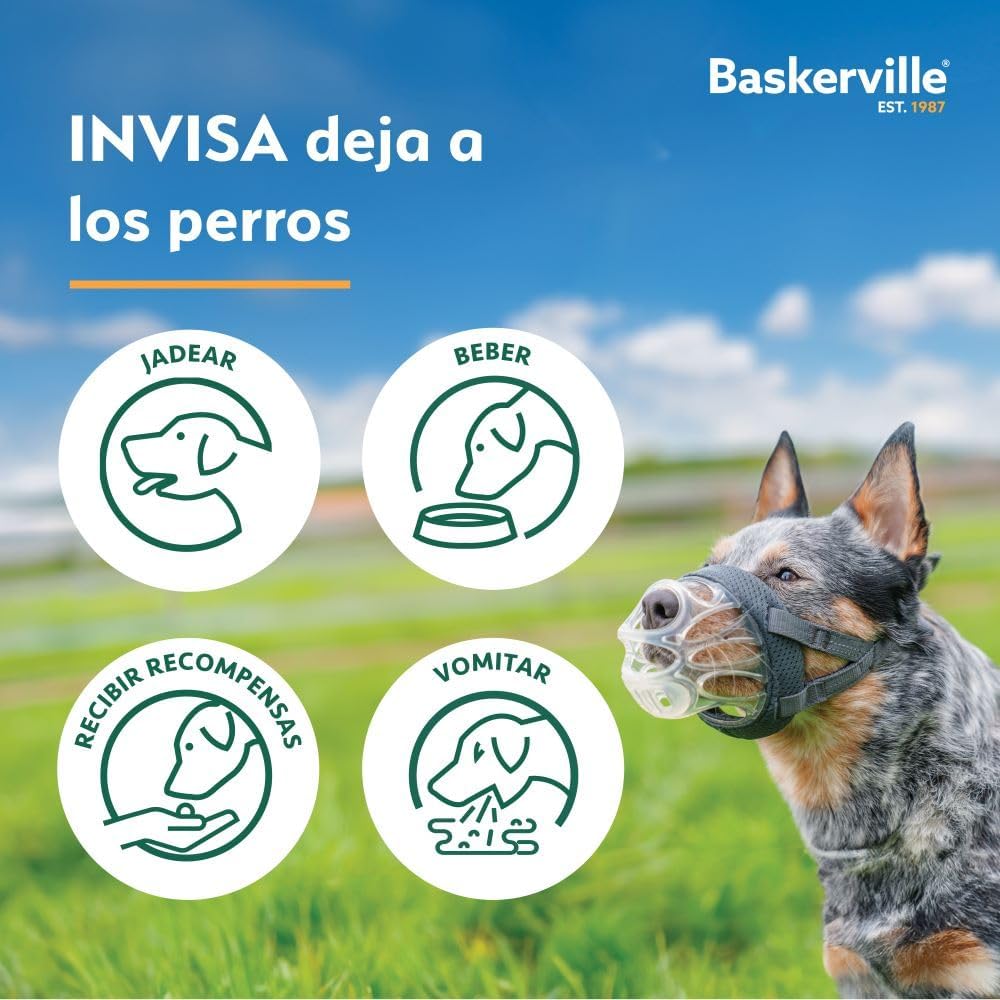 Bozal Baskerville INVISA