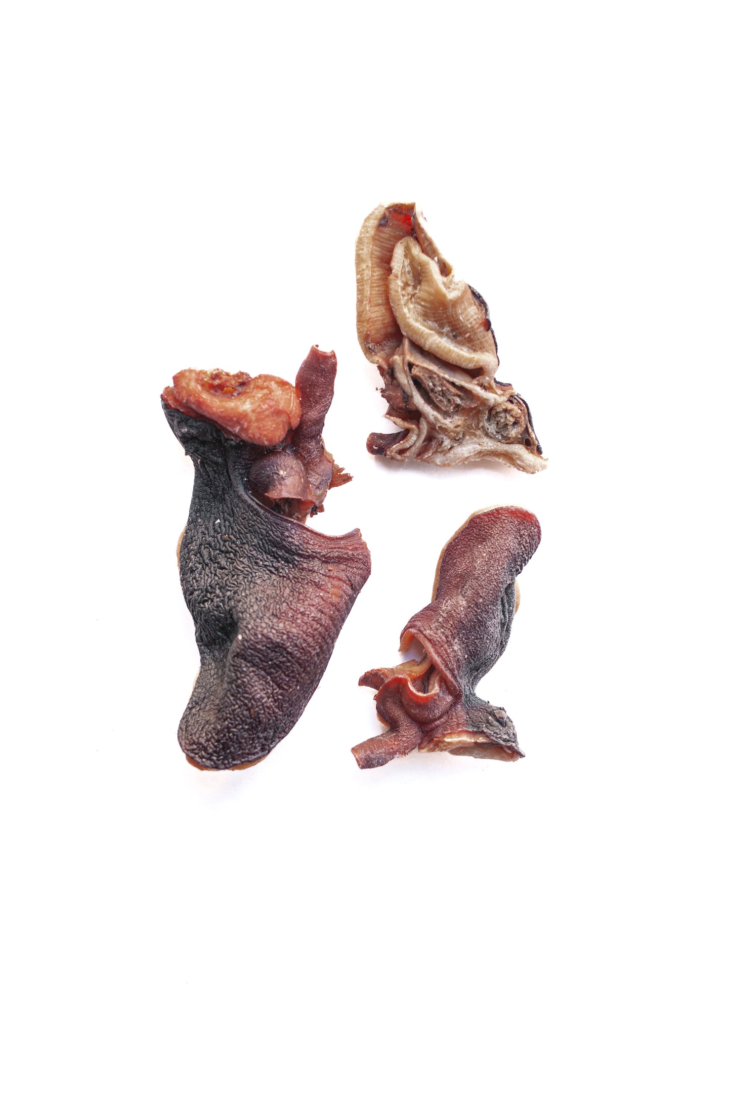 Cabezas de Pulpo deshidratadas
