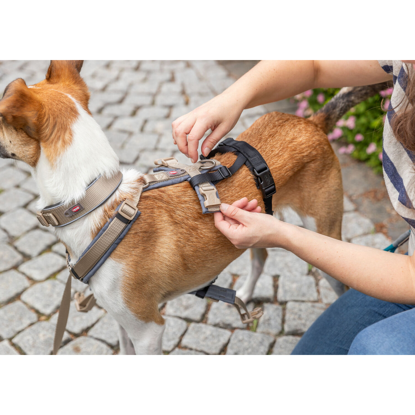 Adaptador - Transforma quase qualquer arnês num arnês à prova de fugas - Trixie (especial para cães fugitivos)
