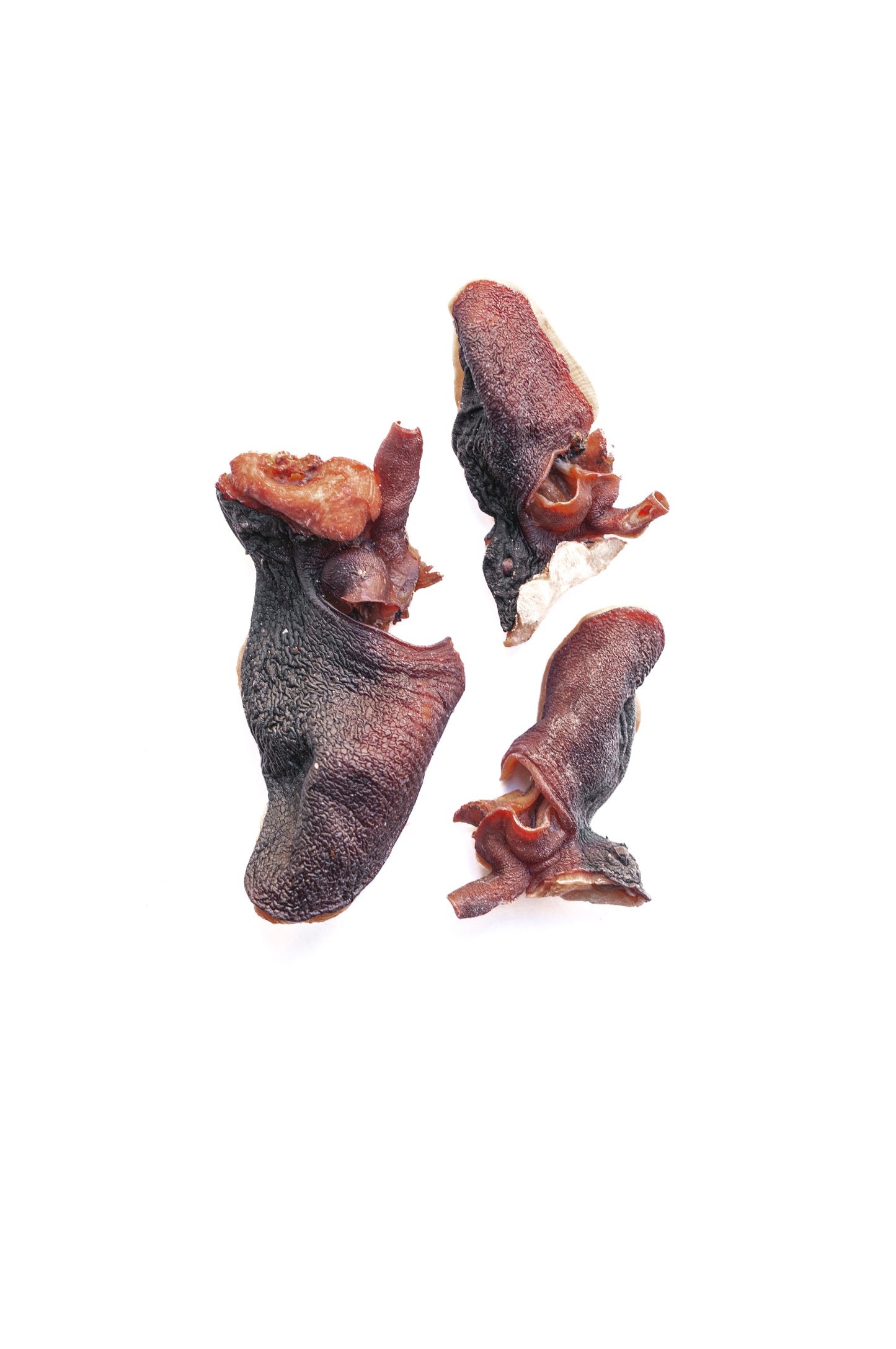 Cabezas de Pulpo deshidratadas