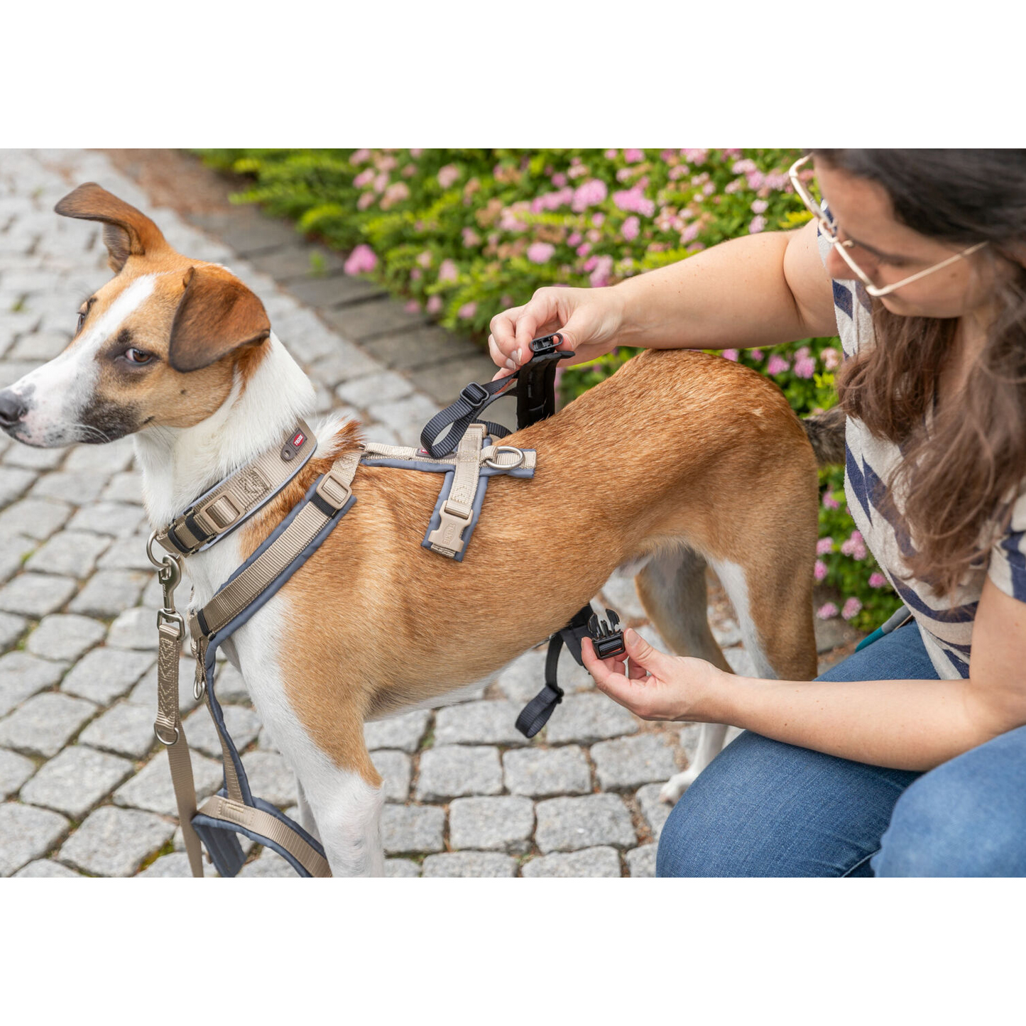 Adaptador - Transforma quase qualquer arnês num arnês à prova de fugas - Trixie (especial para cães fugitivos)