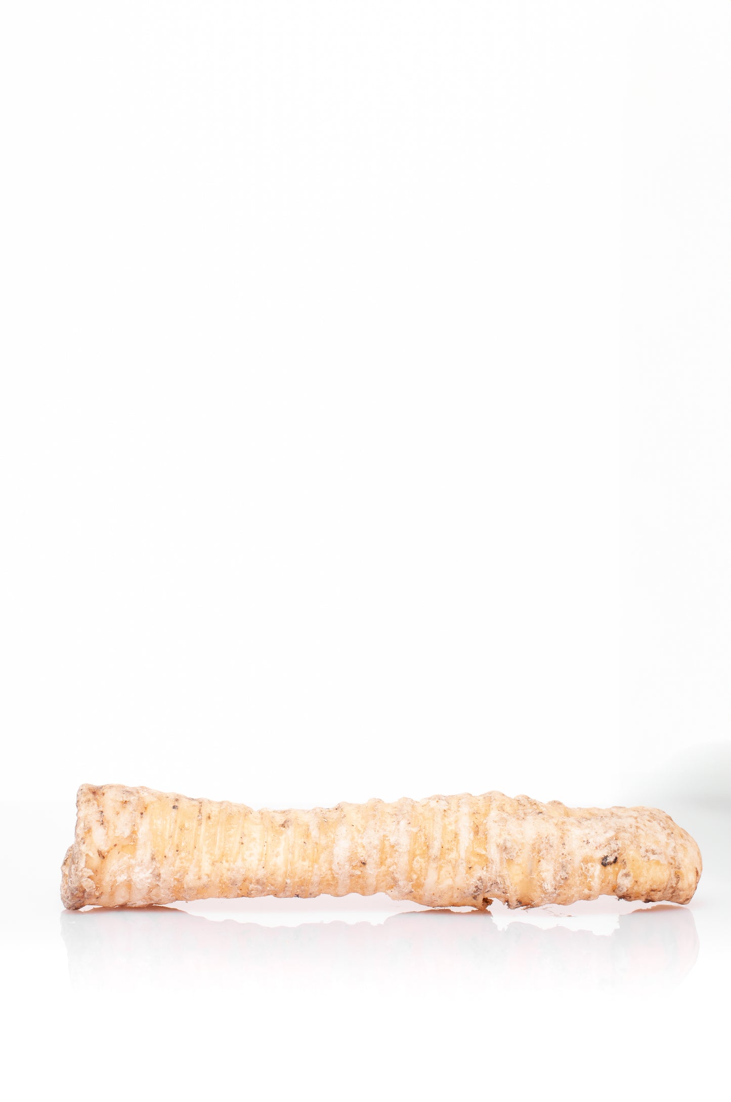 Traqueia de camelo - 100g (3 peças)