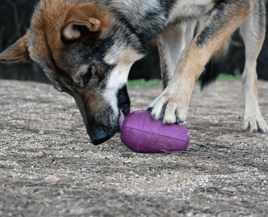 RUCAN | Grande Cónico Roxo | Brinquedo Recarregável