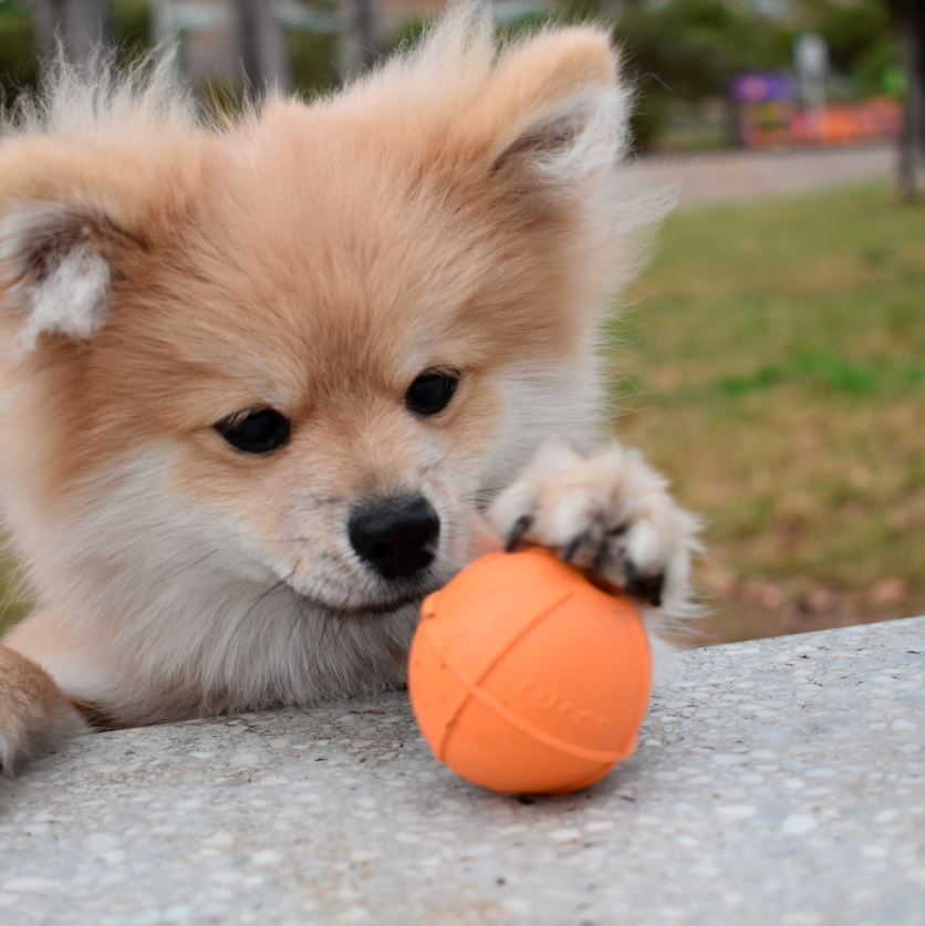 Pelota para Perros - Dogball pequeña naranja - RUCAN