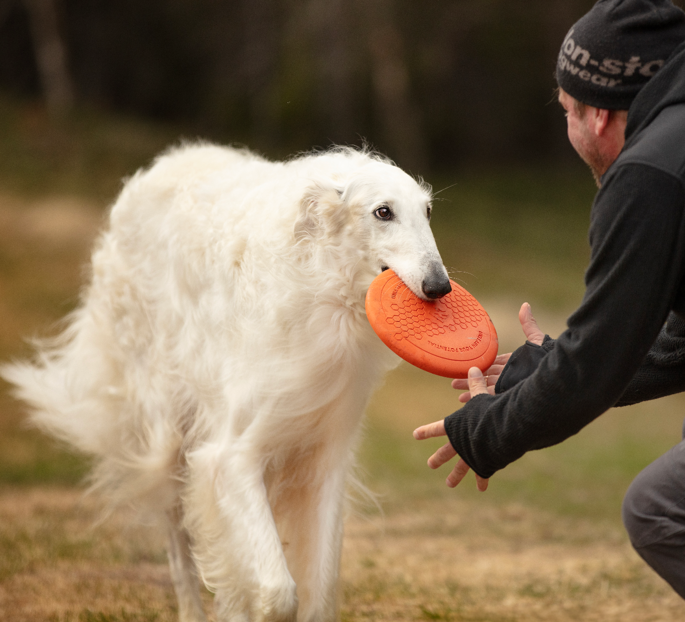 Frisbee (Flying Disc) | Caucho Natural | Juguetes Non-Stop Dogwear