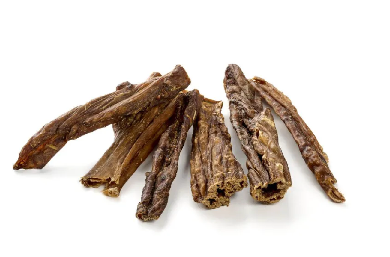 intestinos de cavalo