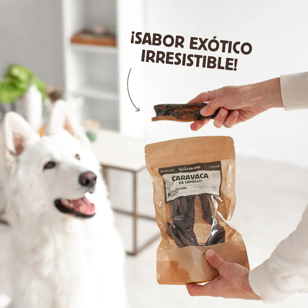 Caravaca de camello - Wild Balance