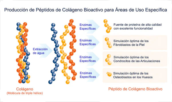 Pure Agility (Colagénio Hidrolisado), 225g | Puromenu