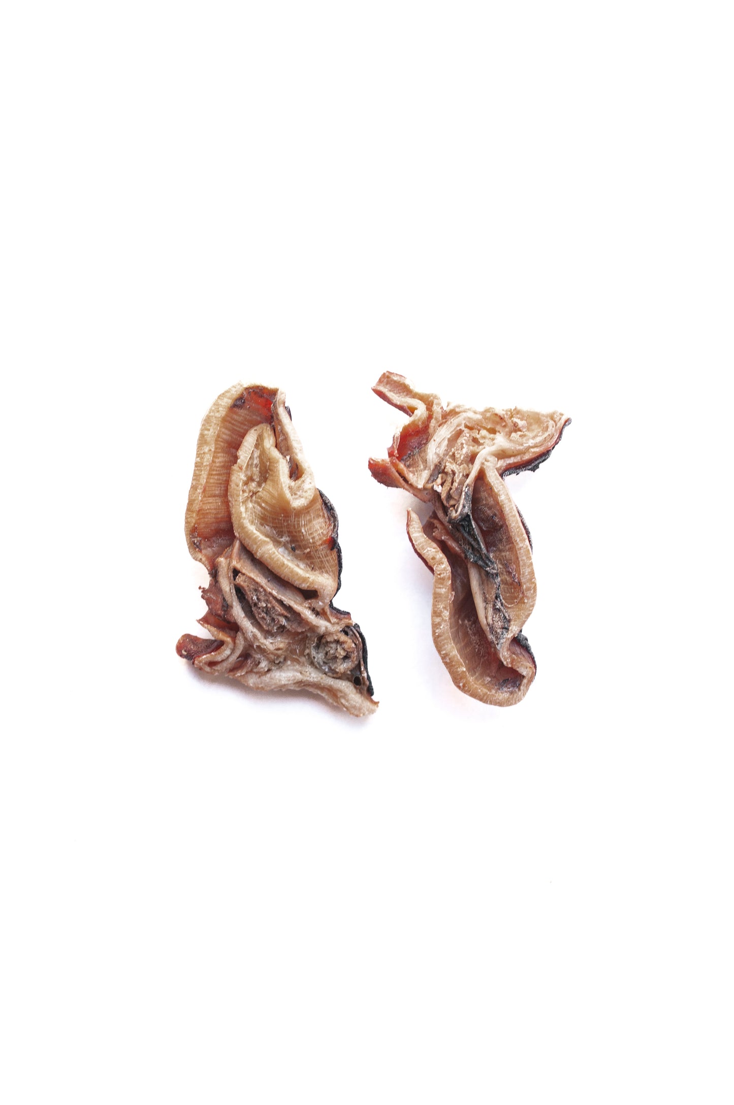 Cabezas de Pulpo deshidratadas