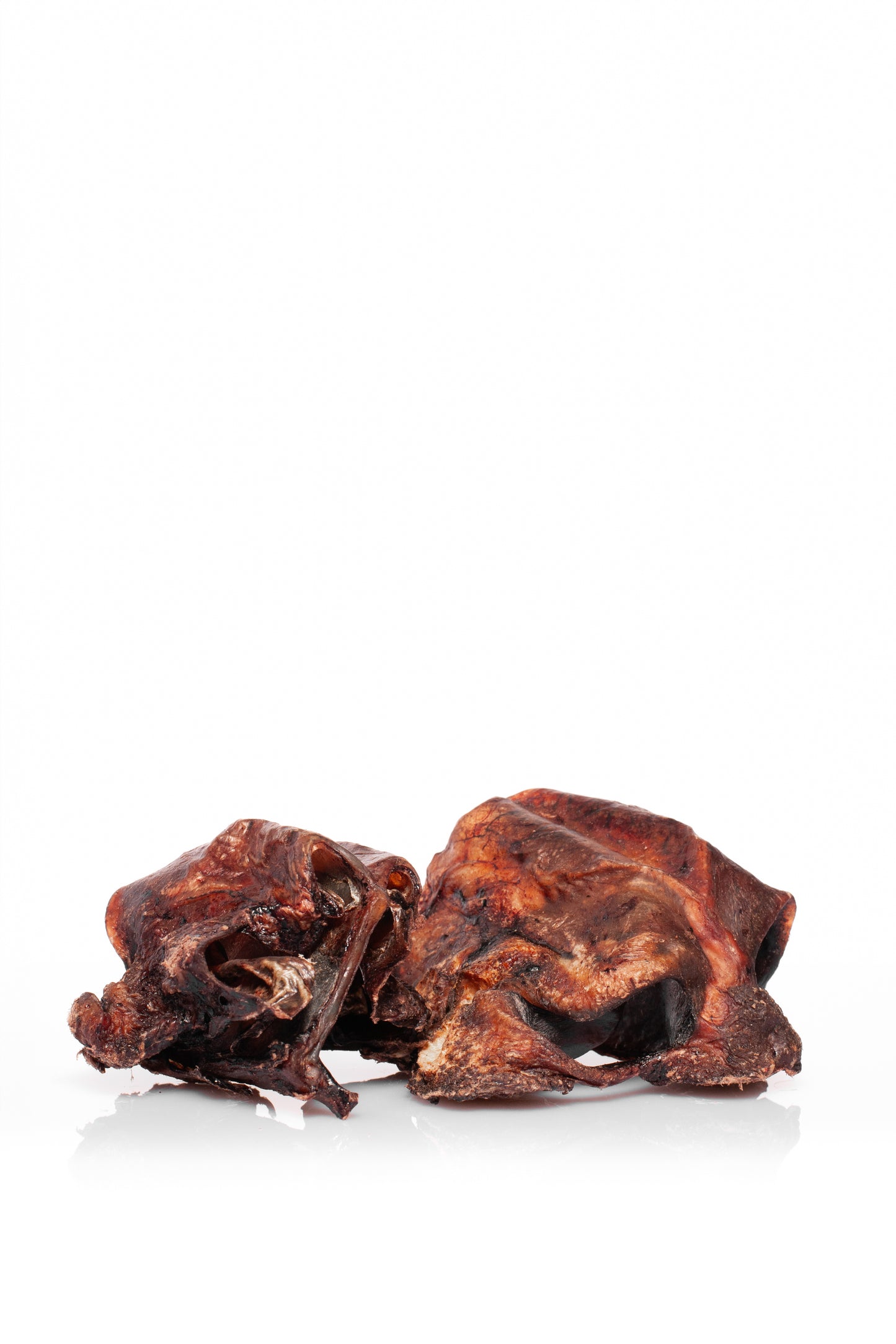 Cartílago nasal de vaca
