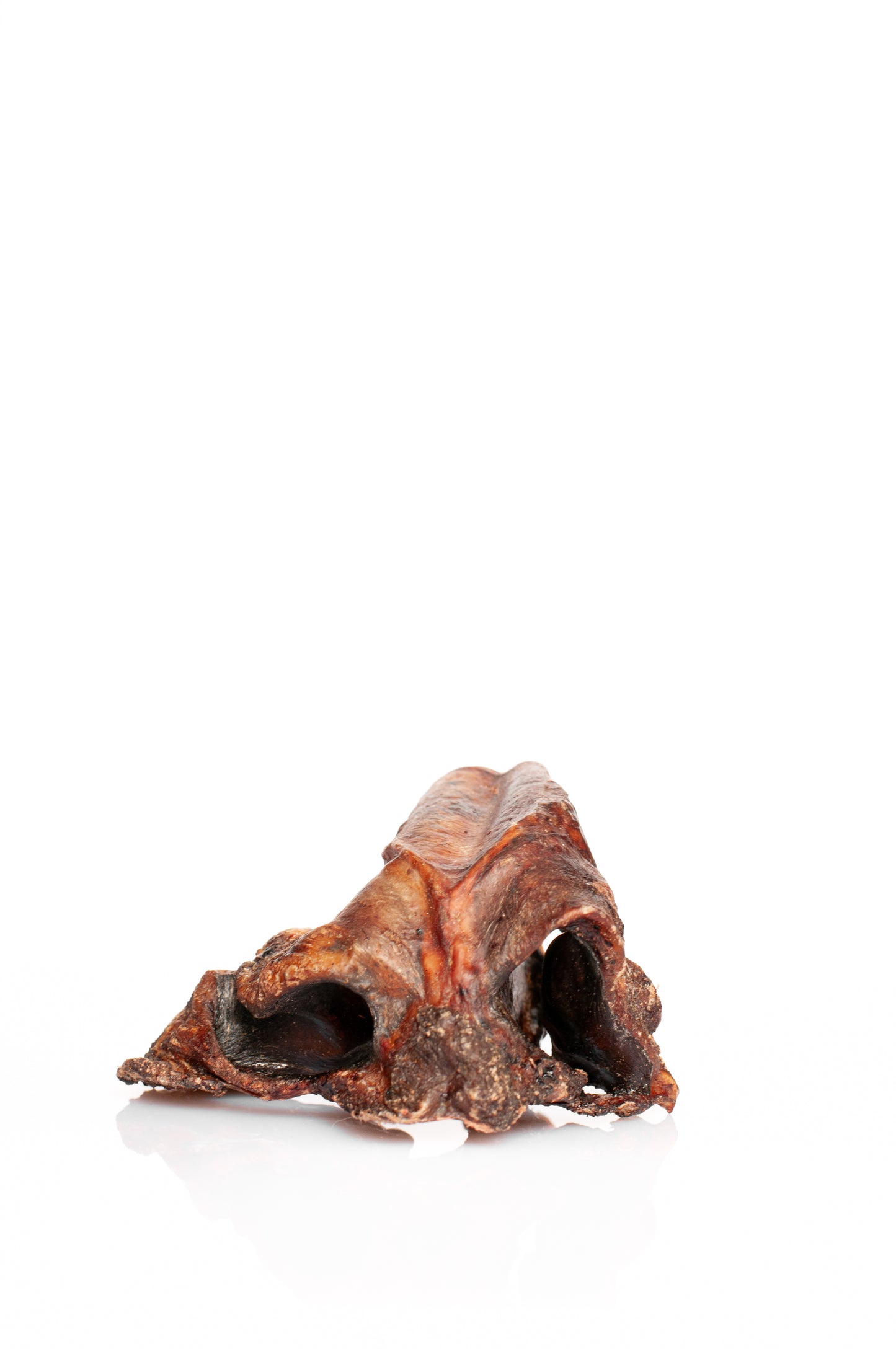 Cartílago nasal de vaca