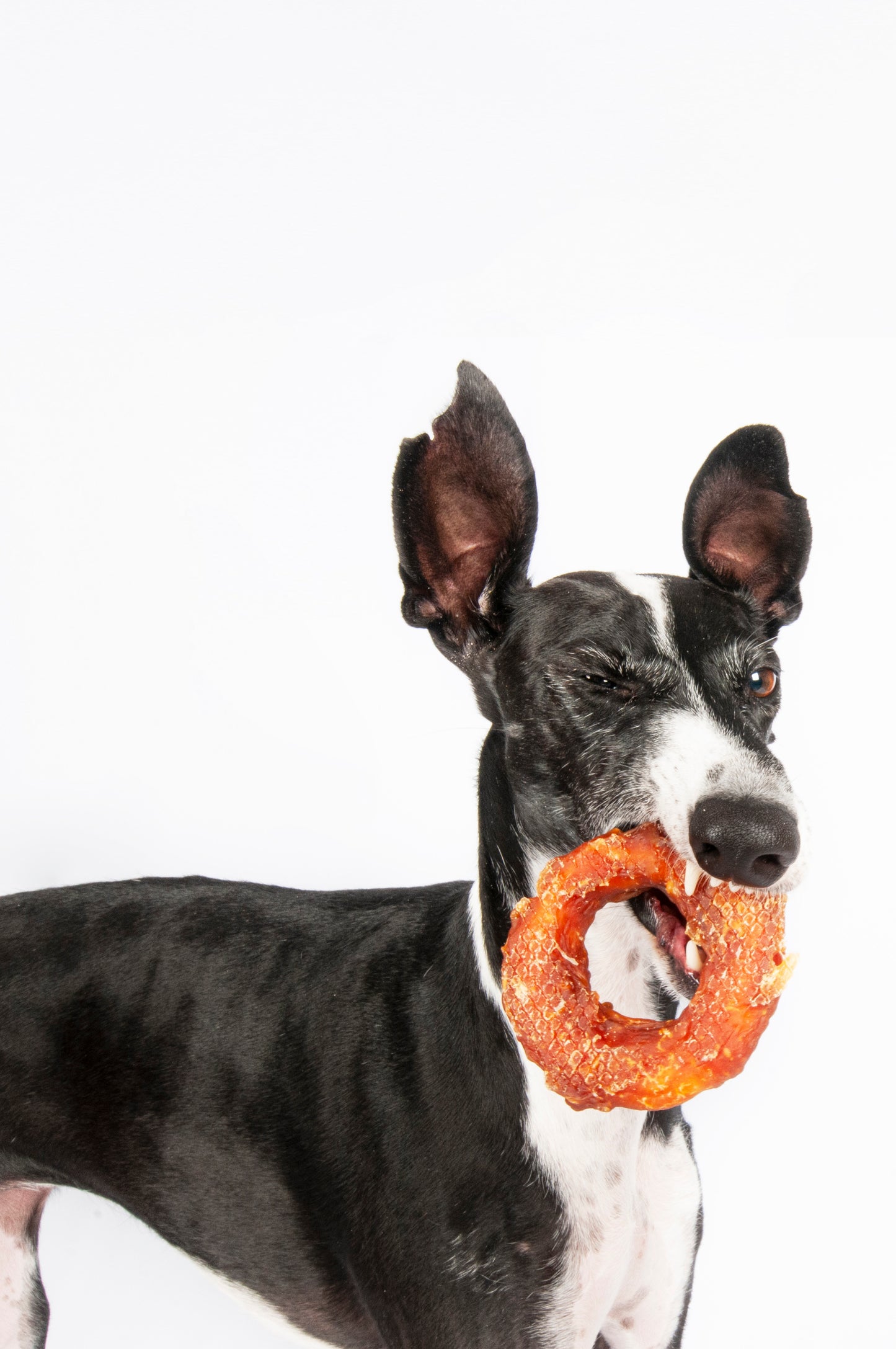 Donut de pollo pequeño
