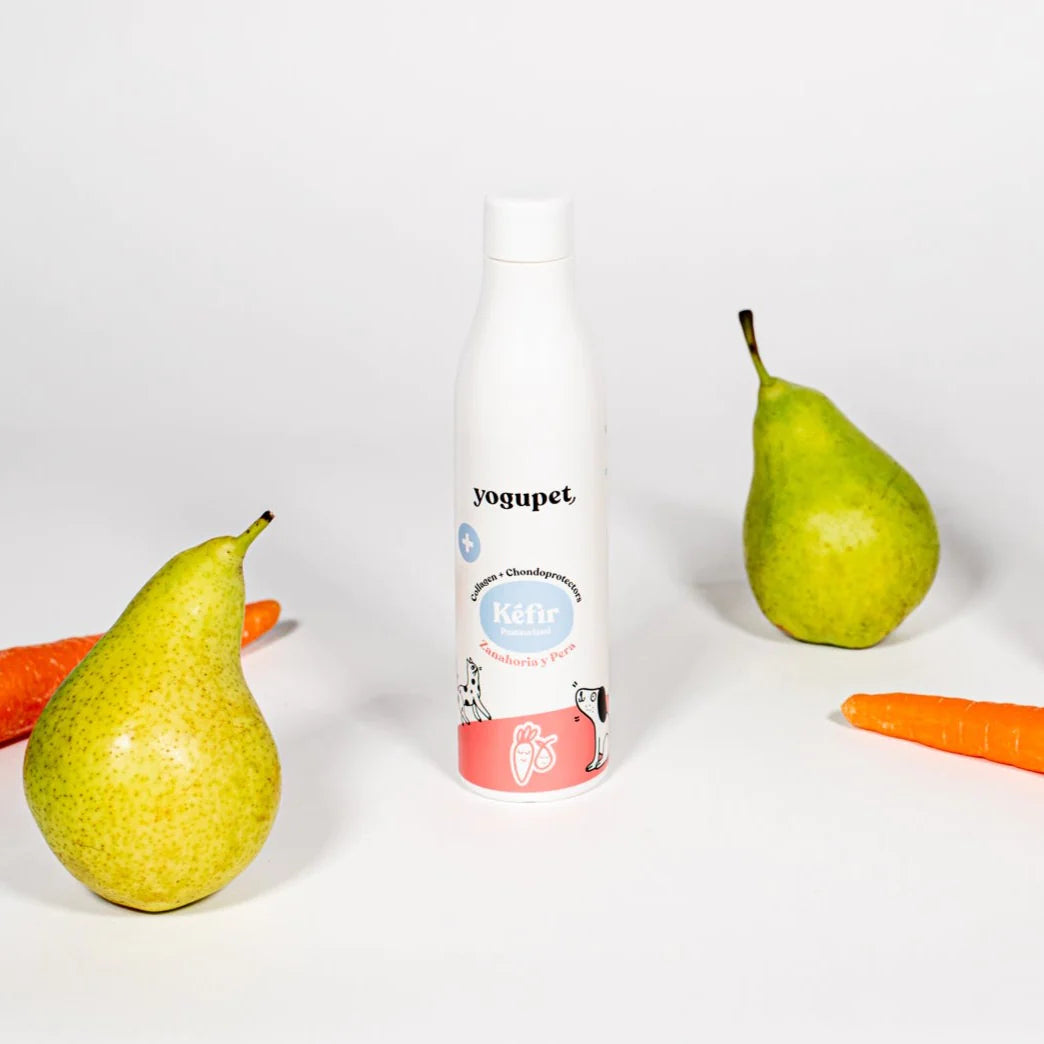 Kéfir zanahoria 🥕 y pera 🍐 - Condroprotectores y colágeno - Yogupet