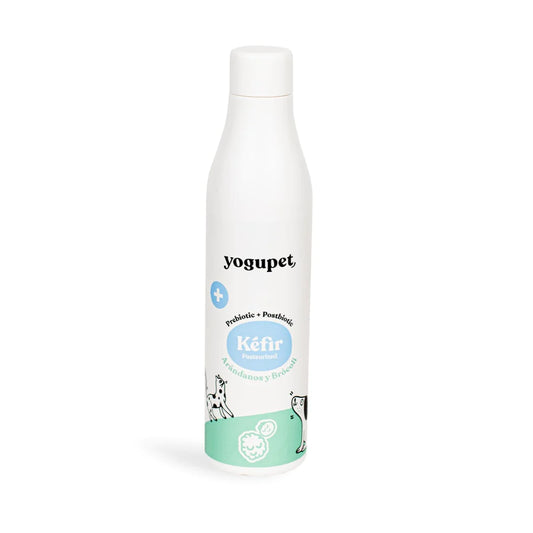 Kefir com brócolos e mirtilos - Prebiótico e pós-biótico - Yogupet