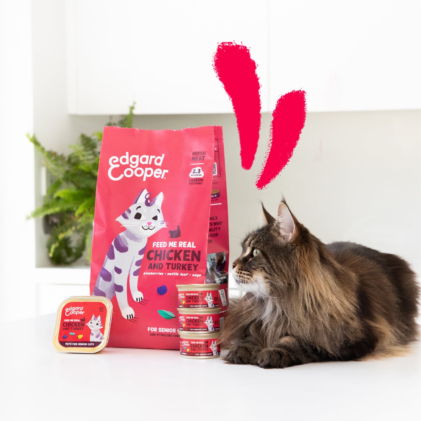 Edgard & Cooper | Pienso para gatos Senior de pollo y pavo de corral para Gatos