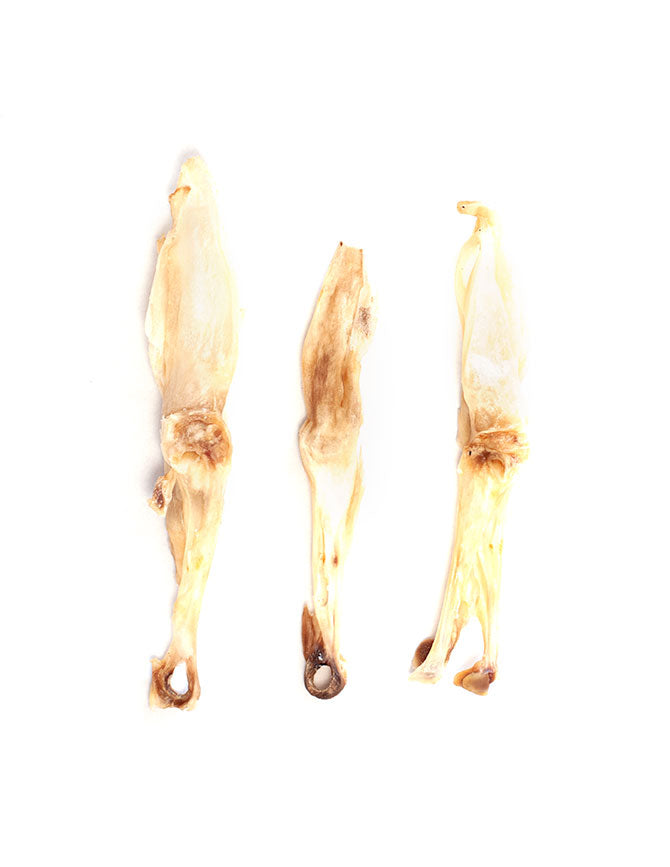Orejas de conejo sin pelo - Pack de 5