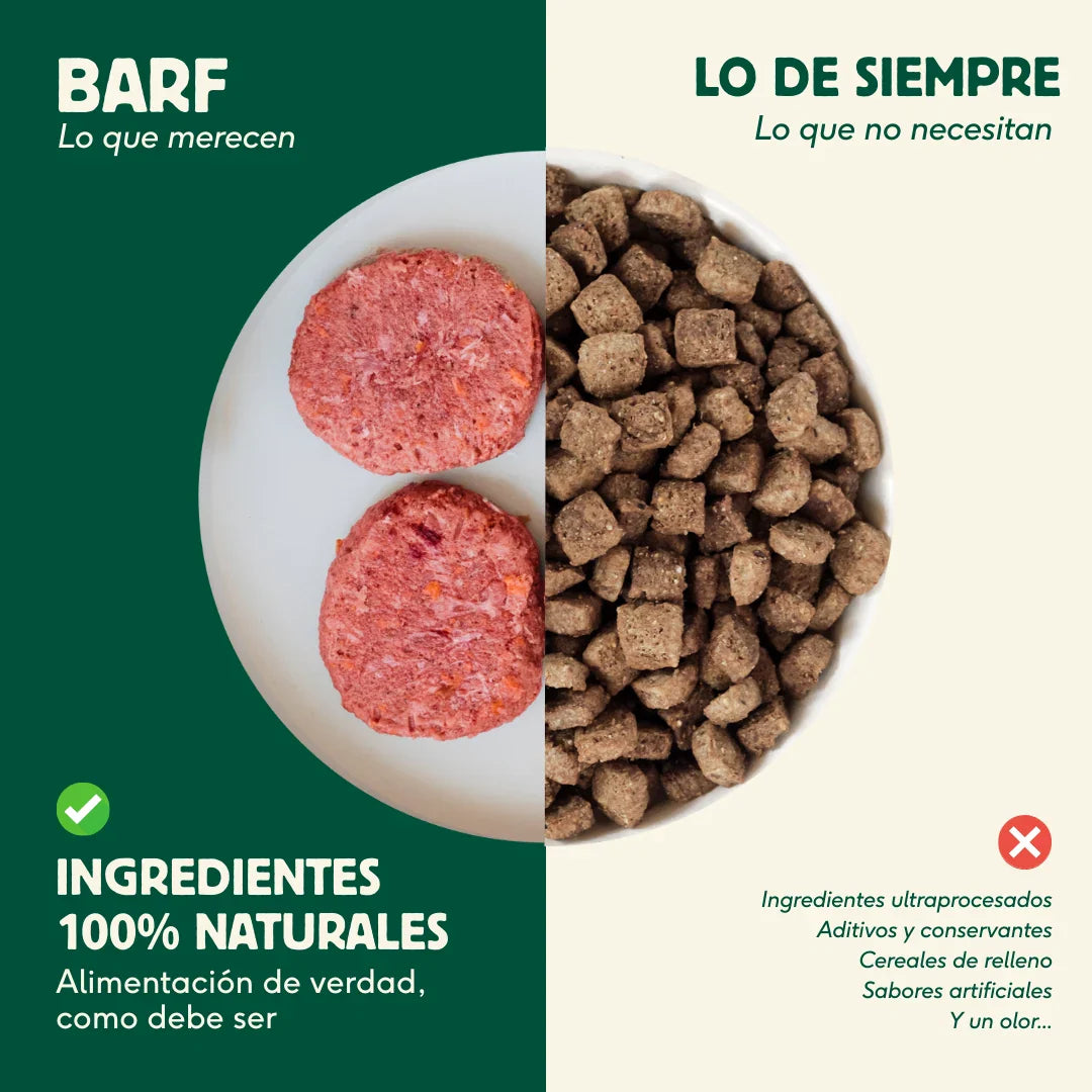 Menú BARF de Salmón con verduras frescas para perros - 500g - Wild Balance