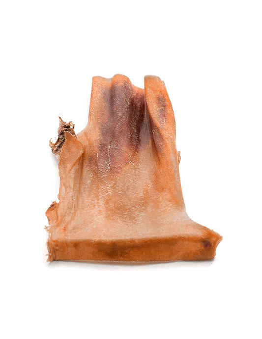 Couro de cavalo XL