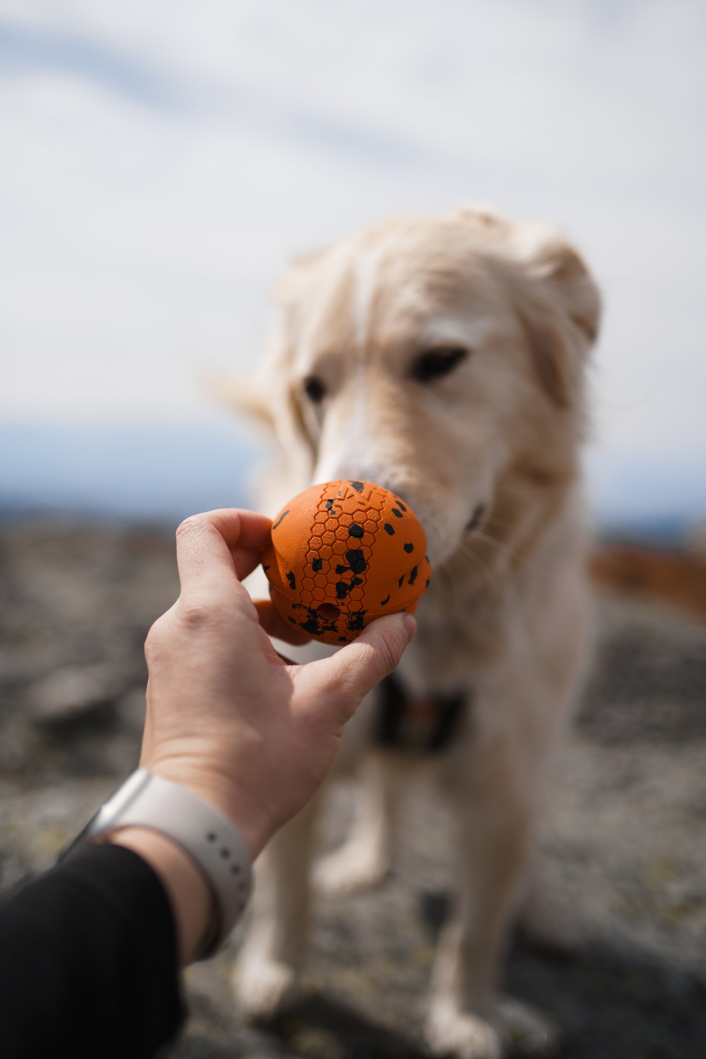 Pelota Caucho Natural | Juguetes Non-Stop Dogwear