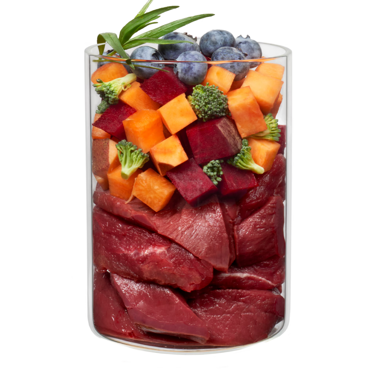 TERRA CANIS MARKTRAGOUT - Buey con brócoli, arándanos azules y salvia, sin cereales