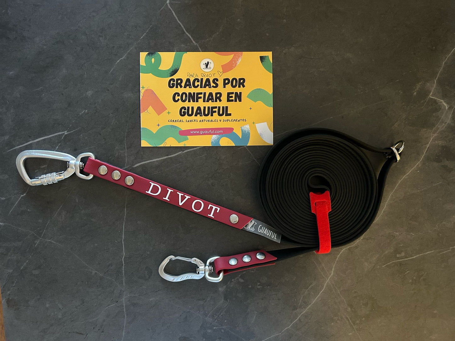 Correa personalizada con el nombre de tu peludo