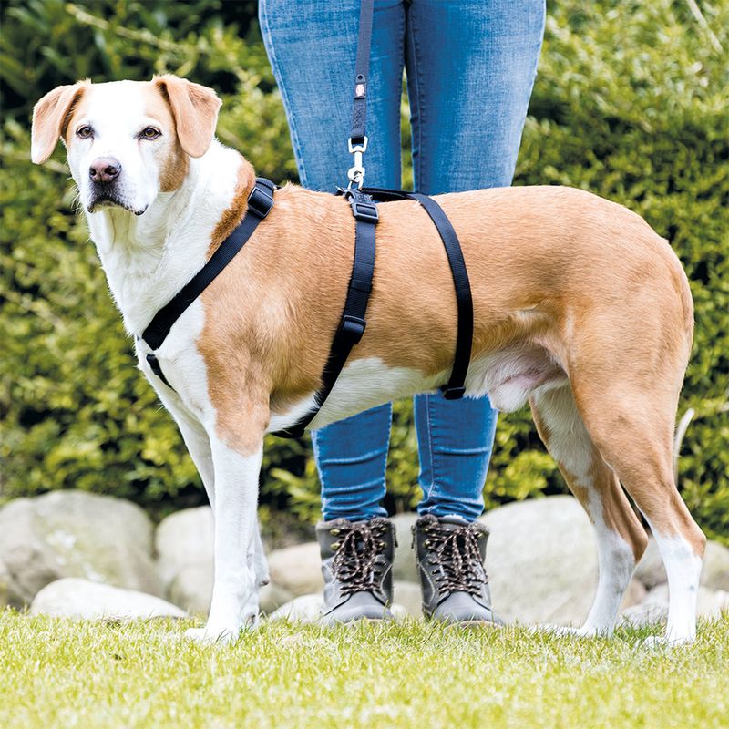 Arnés de seguridad - arnés de 3 puntos - Trixie (especial perros escapistas)