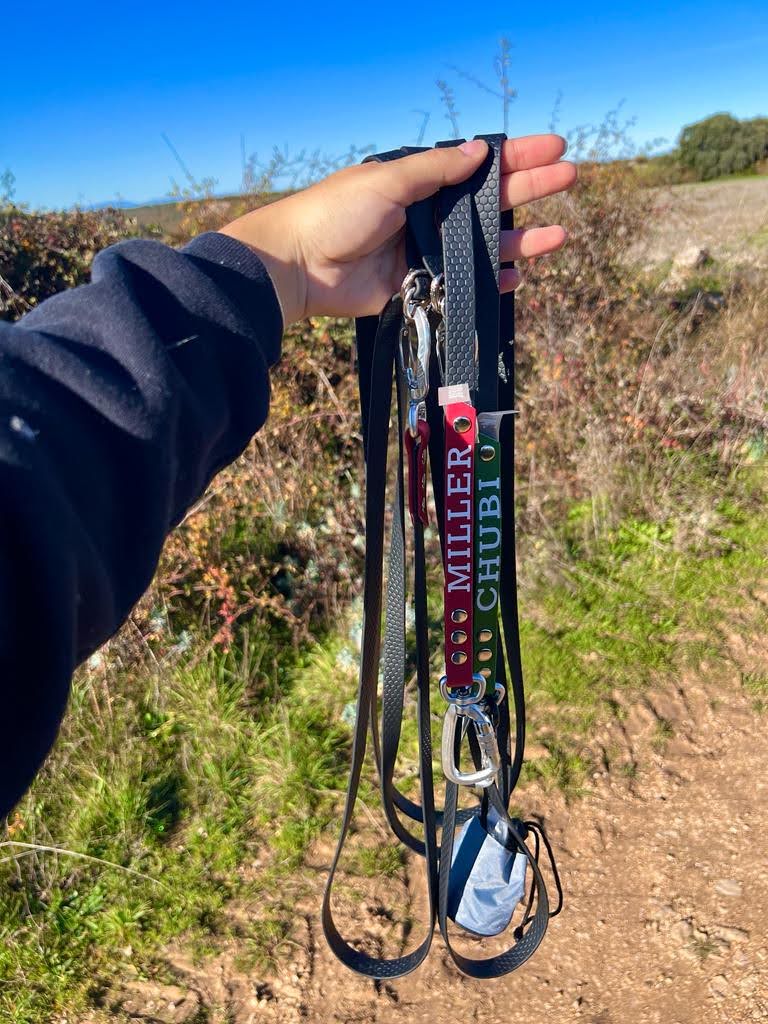 Correa personalizada con el nombre de tu peludo