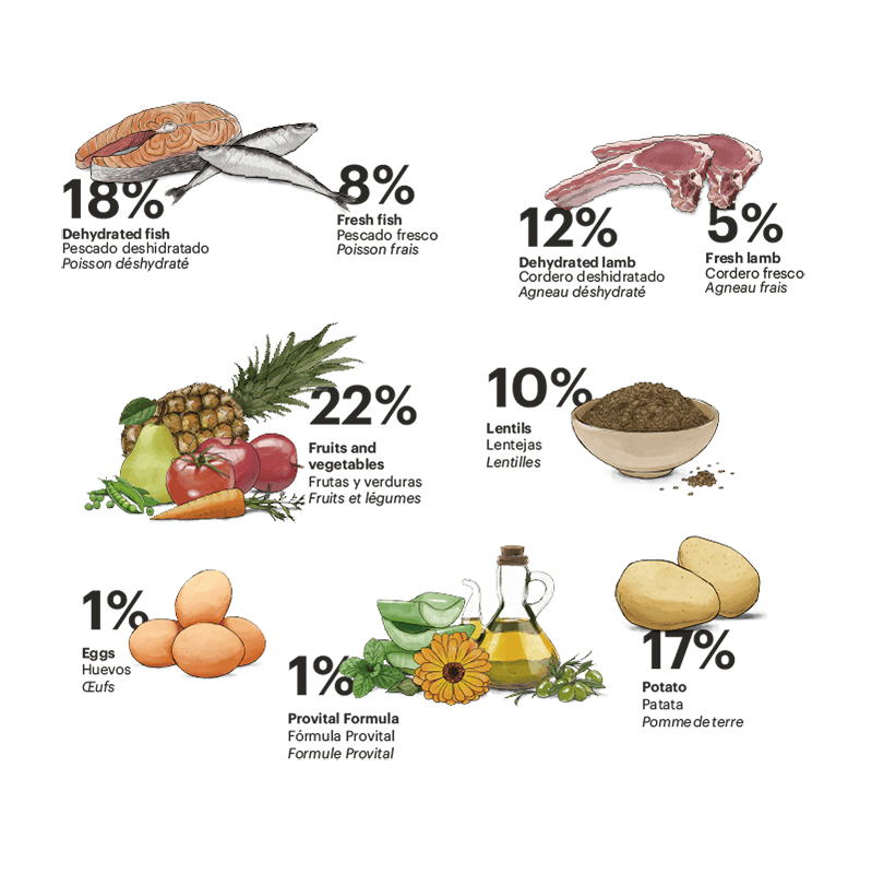 Gosbi | Exclusive Grain Free Dog Adult Mini Fish with Lamb