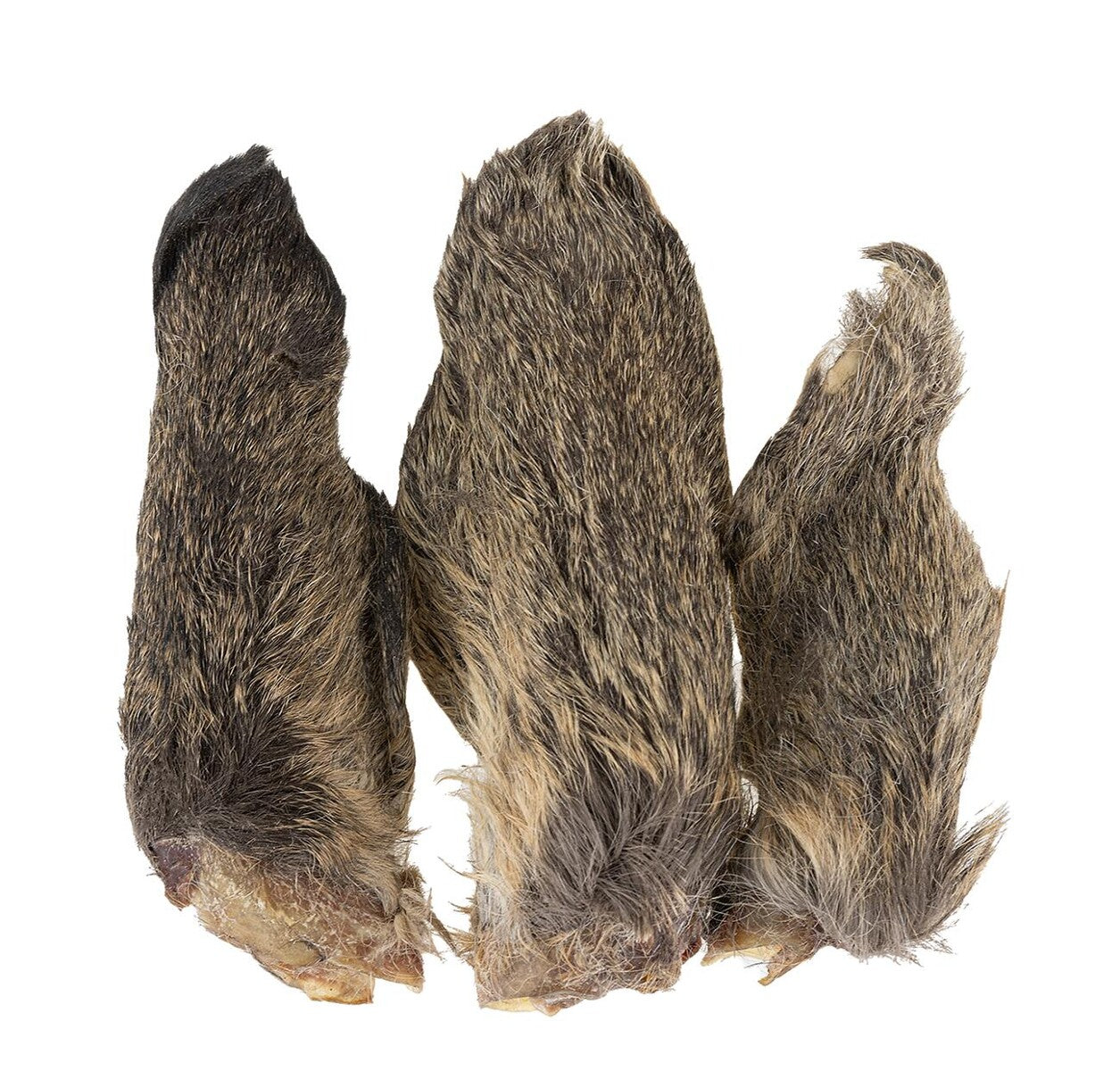 Orelha de corça com cabelo