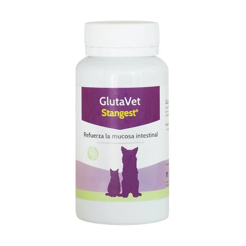 GLUTAVET| Refuerzo mucosa intestinal | Stangest | 60 comprimidos