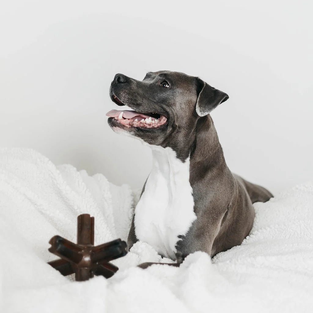 Brinquedo para cão - Return Rub Star