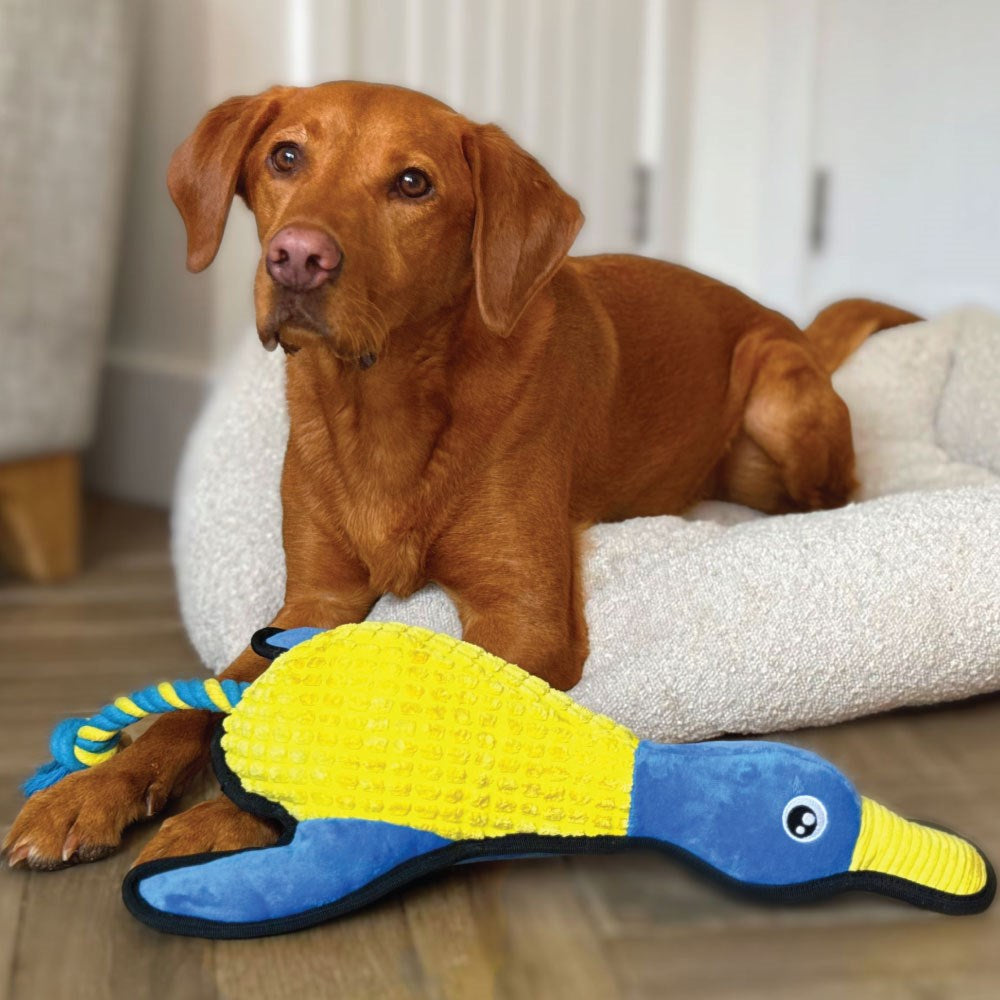 Pato Peluche XL acolchado ultra resistente con cuerda | Juguete para perros