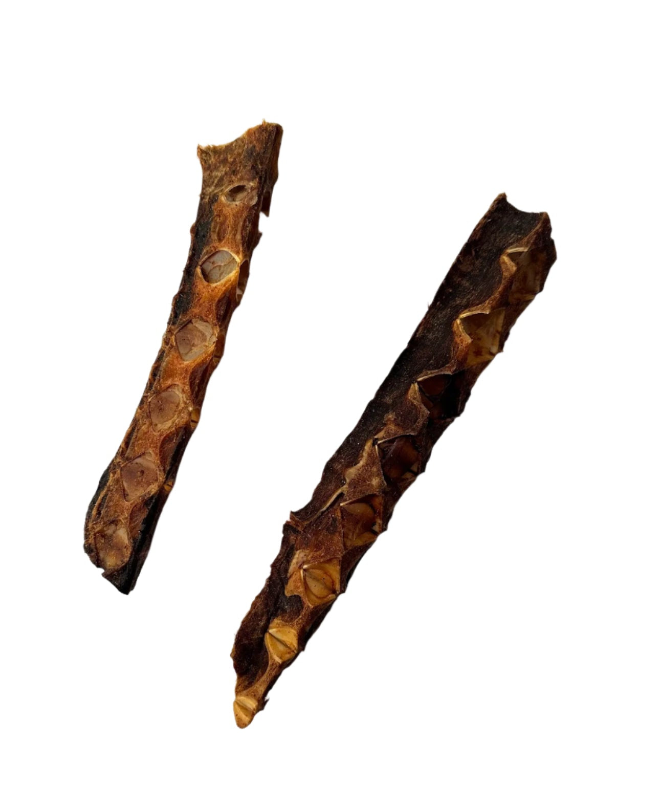 Fishbones de atún deshidratados (12-22 cms)