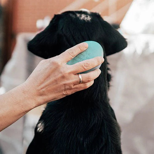 Cepillo para perros rub dog brush - RETORN