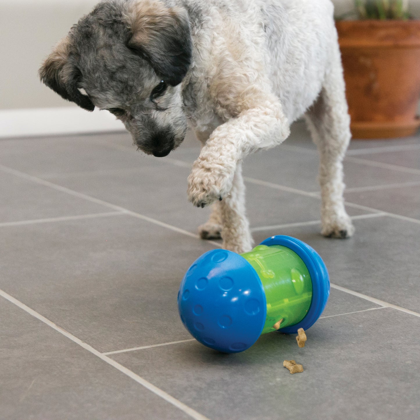 KONG Spin it: Dispensador de guloseimas - Brinquedo interativo