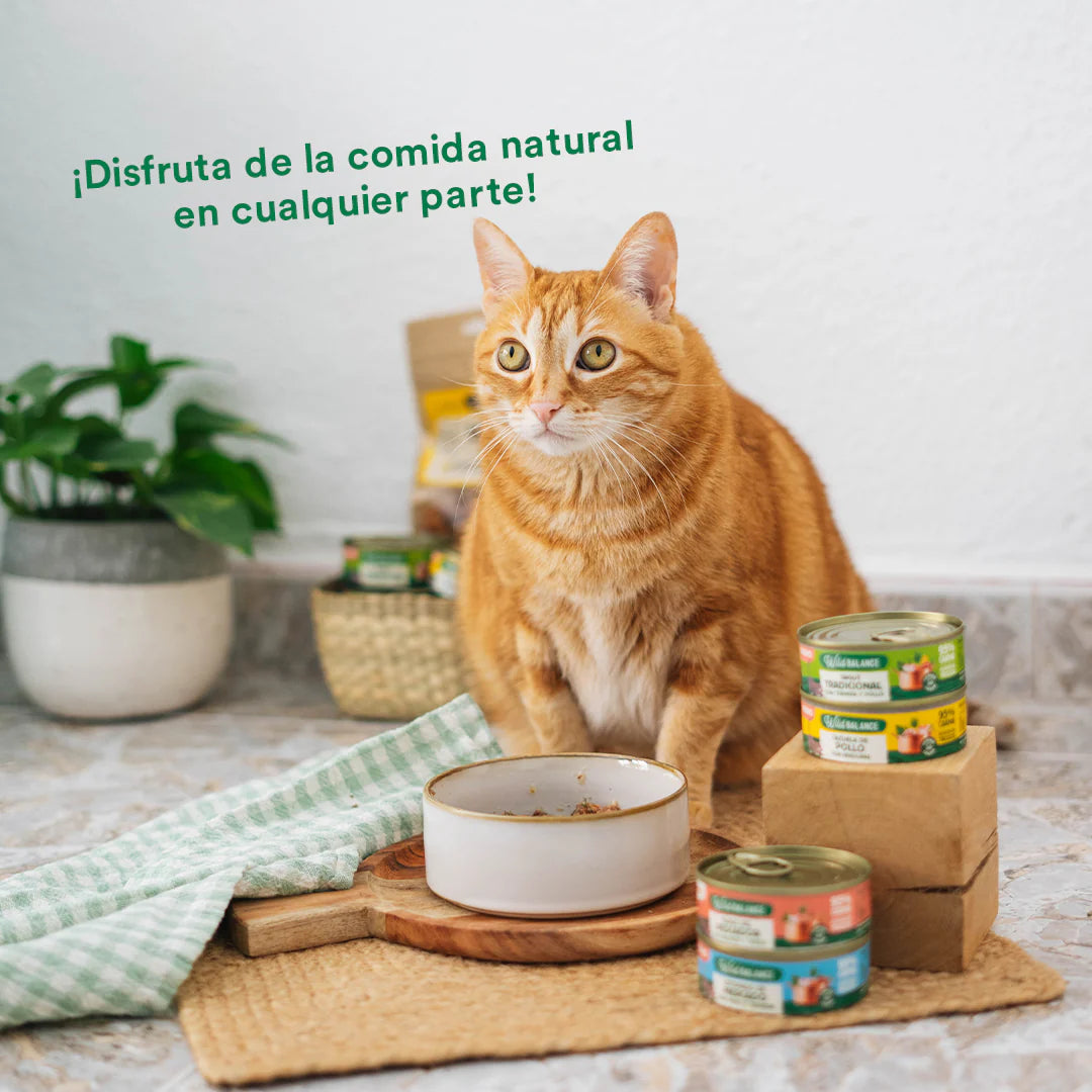 Lata Cazuela de Pollo con Verduras | Gatos Wild Balance