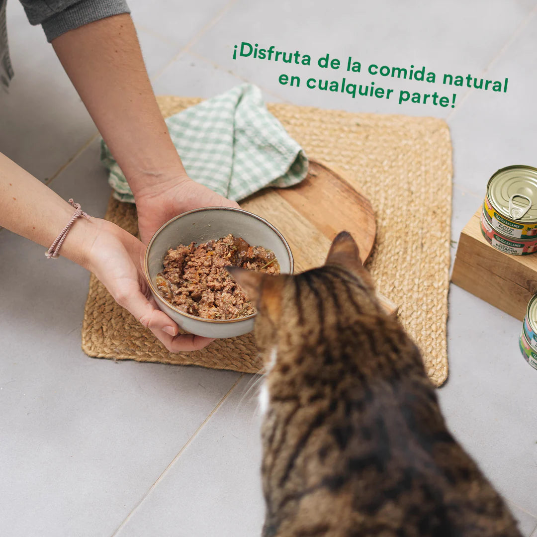 Lata Estofado de Mercado | Pavo y Ternera | Gatos Wild Balance