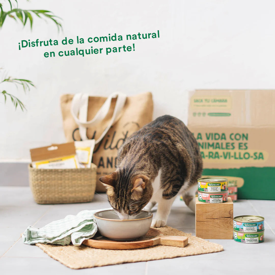 Lata Ragout Tradicional Ternera y Pollo | Gatos Wild Balance